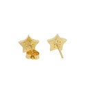 PENDIENTES ESTRELLA CIRCONITAS PRESION 7.5MM