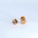 PENDIENTES REDONDOS 5'5MM.