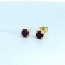 PENDIENTES GARRA RUBI FINO 4MM PRESION