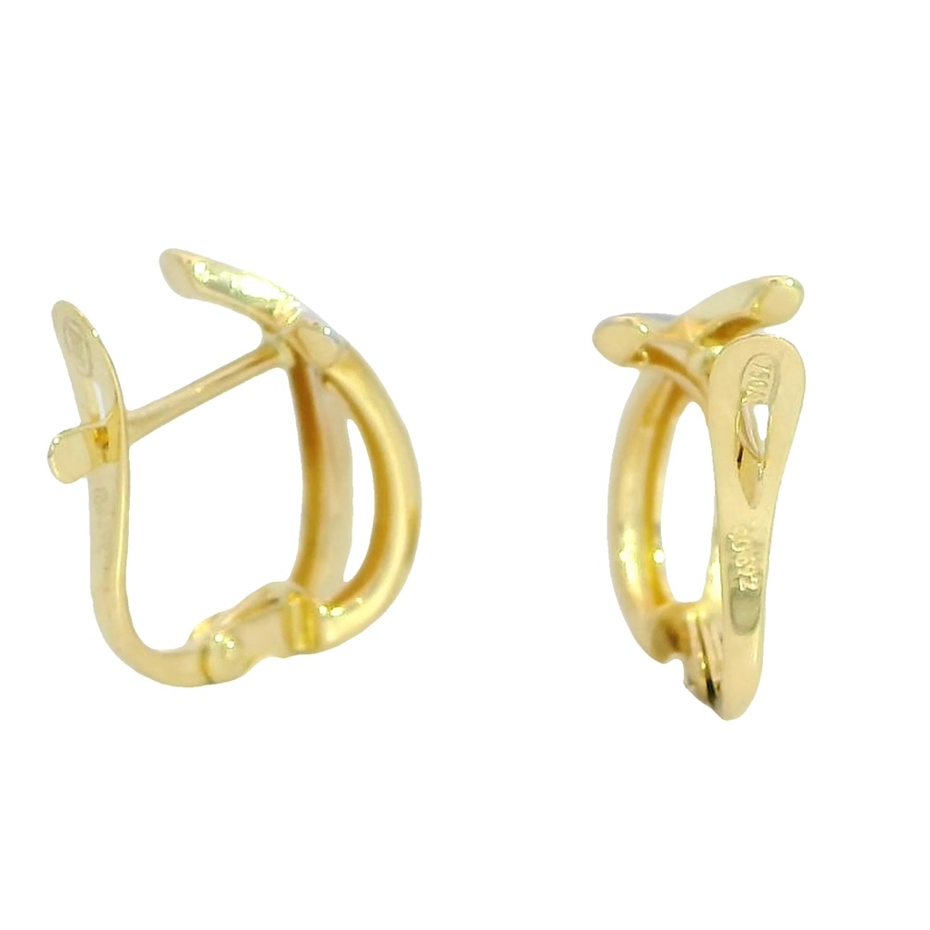 PENDIENTES MEDIO ARO DOBLE BANDA BICOLOR.
