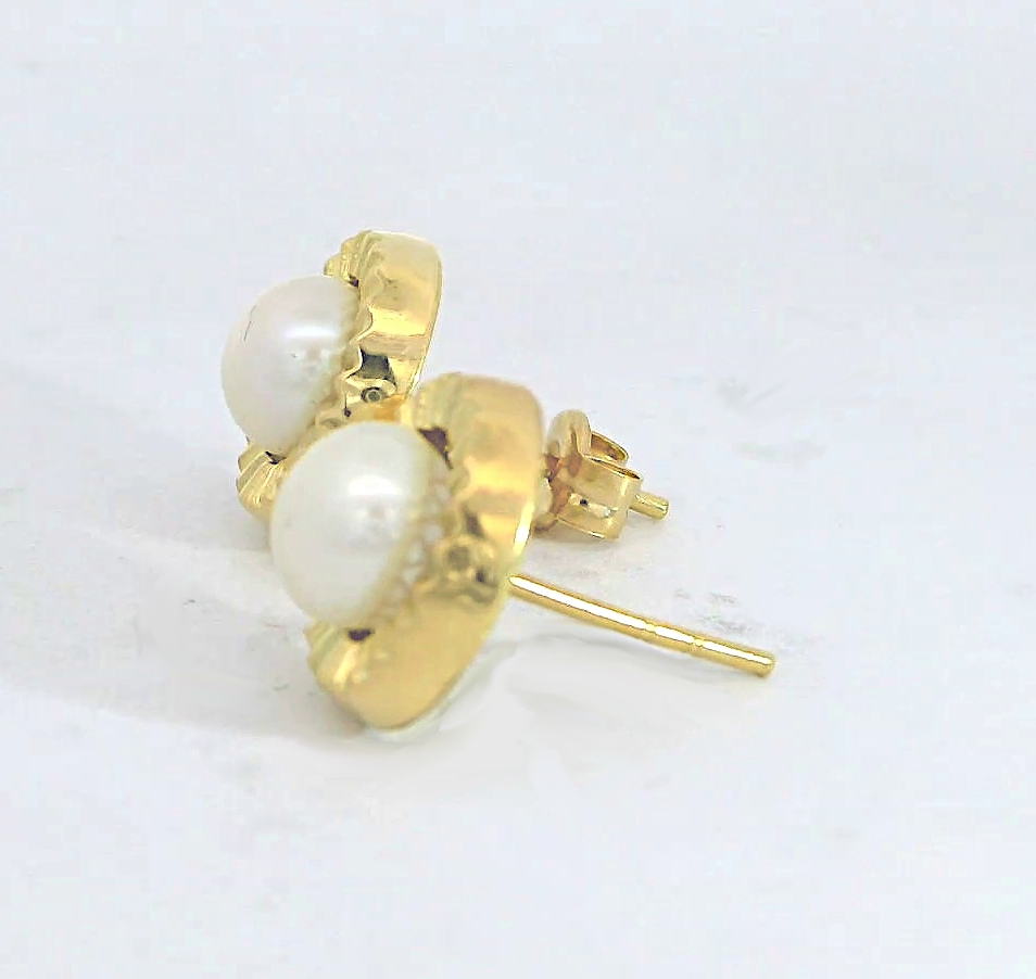 PENDIENTE ORLA GALLON PERLA 6-6.5MM PRESION