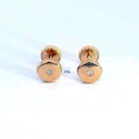 PENDIENTES REDONDOS BRILLANTES DE 1'3MM.