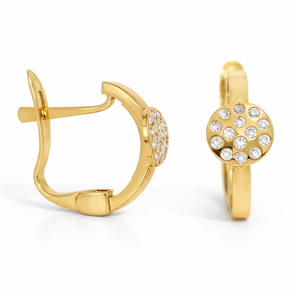 TWO TONE LEVERBACK EARRINGS