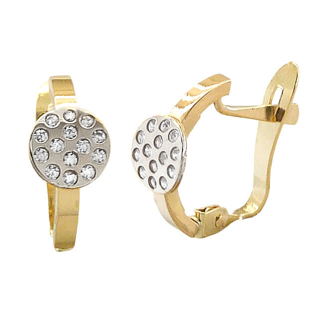 TWO TONE LEVERBACK EARRINGS