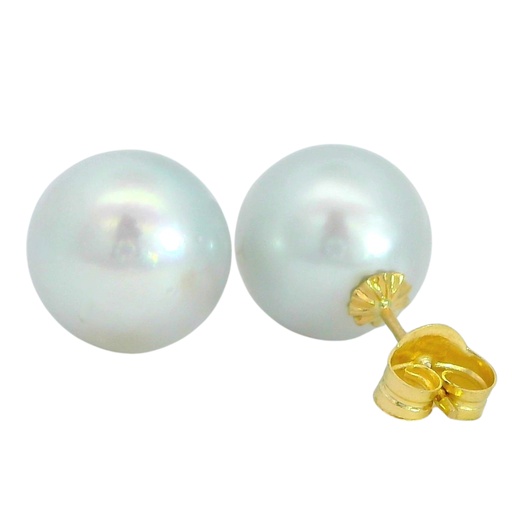 [2438/12] 12/13MM AUSTRALIAN PEARLS STUD EARRINGS.