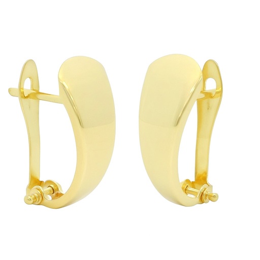 [00146] LEVERBACK EARRINGS.17x6MM