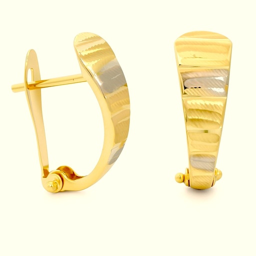 [00146/3] TWO TONE GOLD LEVERBACK EARRINGS.17x6MM