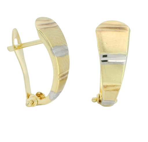 [00146/4] TWO TONE GOLD LEVERBACK EARRINGS