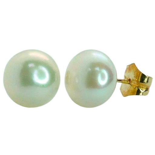 [9971] 11/12MM BUTTON PEARL STUD EARRINGS.BUTTERFLY CLASP ON PIN POST.