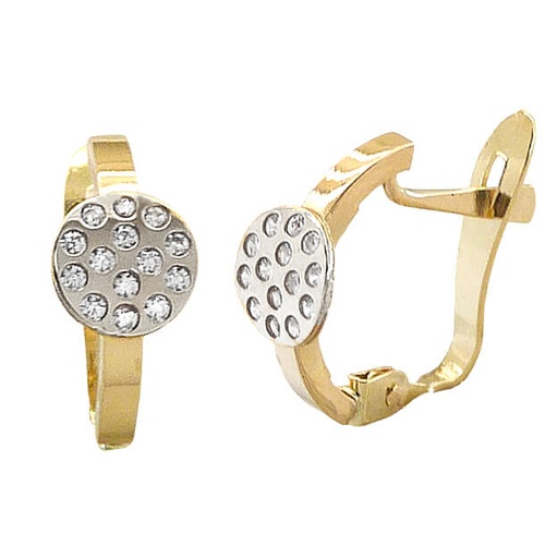 [5580] TWO TONE LEVERBACK EARRINGS