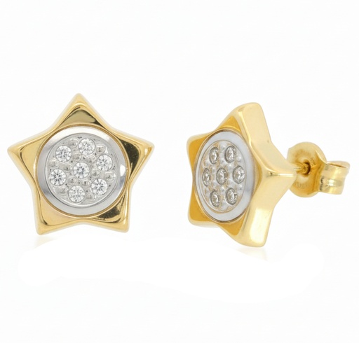 [4108] 10MM TWO TONE GOLD STAR STUD EARRINGS